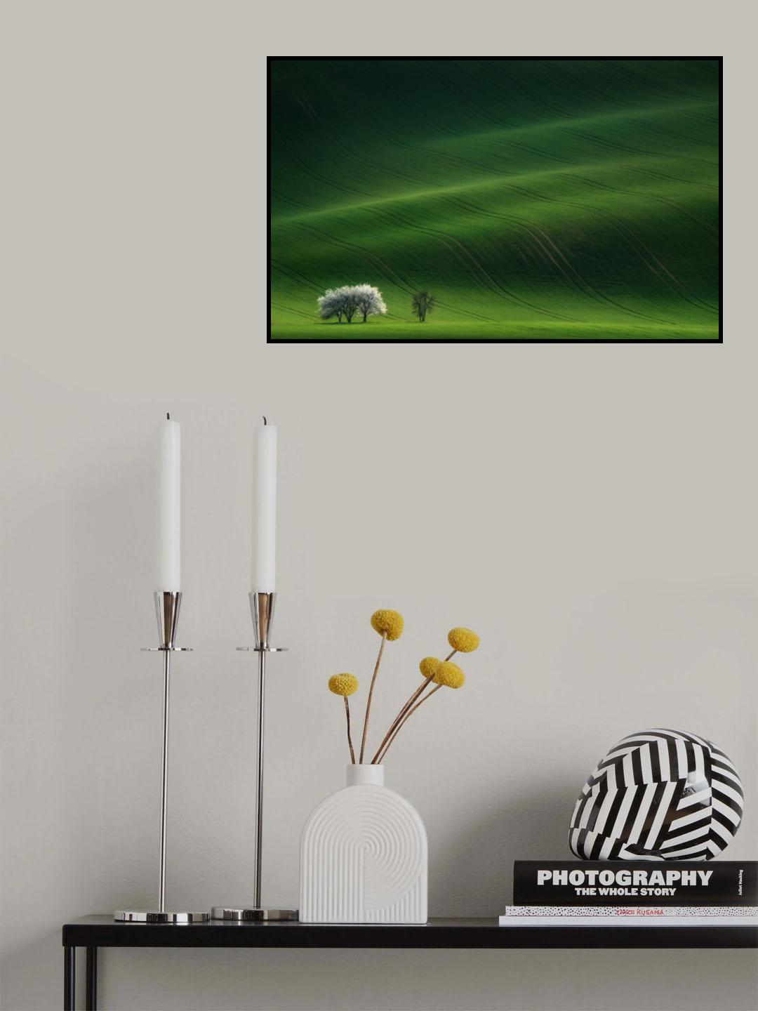 Ladies in White Poster och Canvastavla