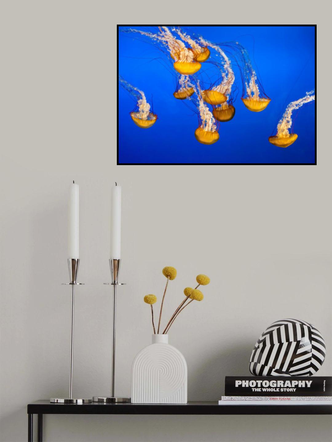 Dancing Jellyfish, #301 Poster och Canvastavla