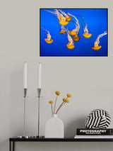 Dancing Jellyfish, #301 Poster och Canvastavla