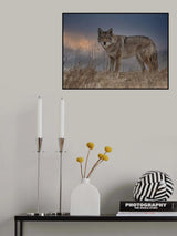 Confrontation! Poster och Canvastavla