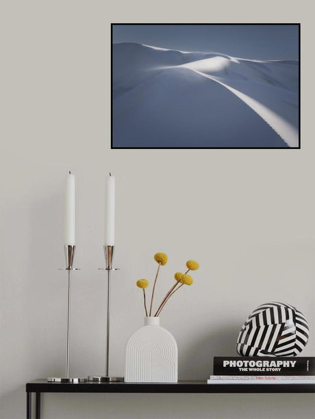 Windswept Poster och Canvastavla