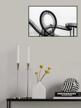 tiger and turtle Poster och Canvastavla