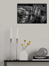 Poster och Canvastavla