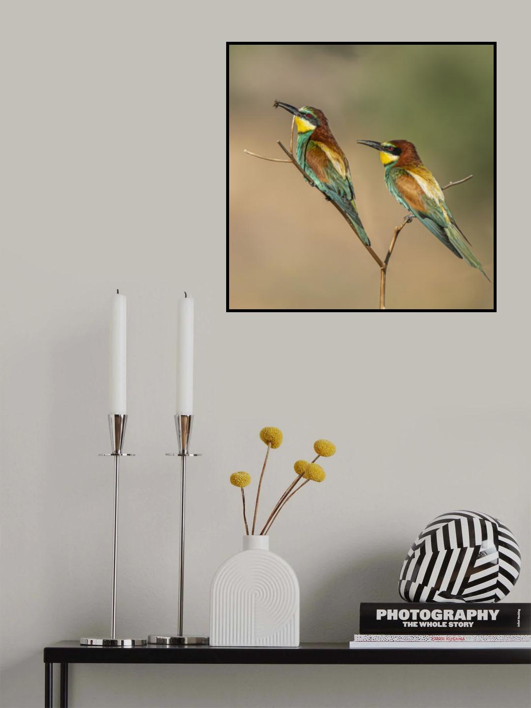 Cute duo Poster och Canvastavla