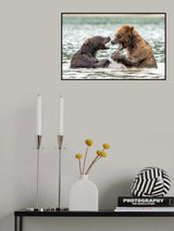 Bicker Poster och Canvastavla