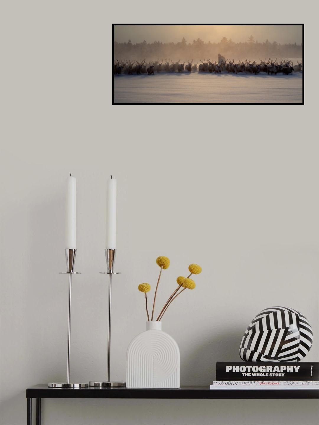 The herd II Poster och Canvastavla