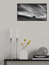 Moravian seeding Poster och Canvastavla