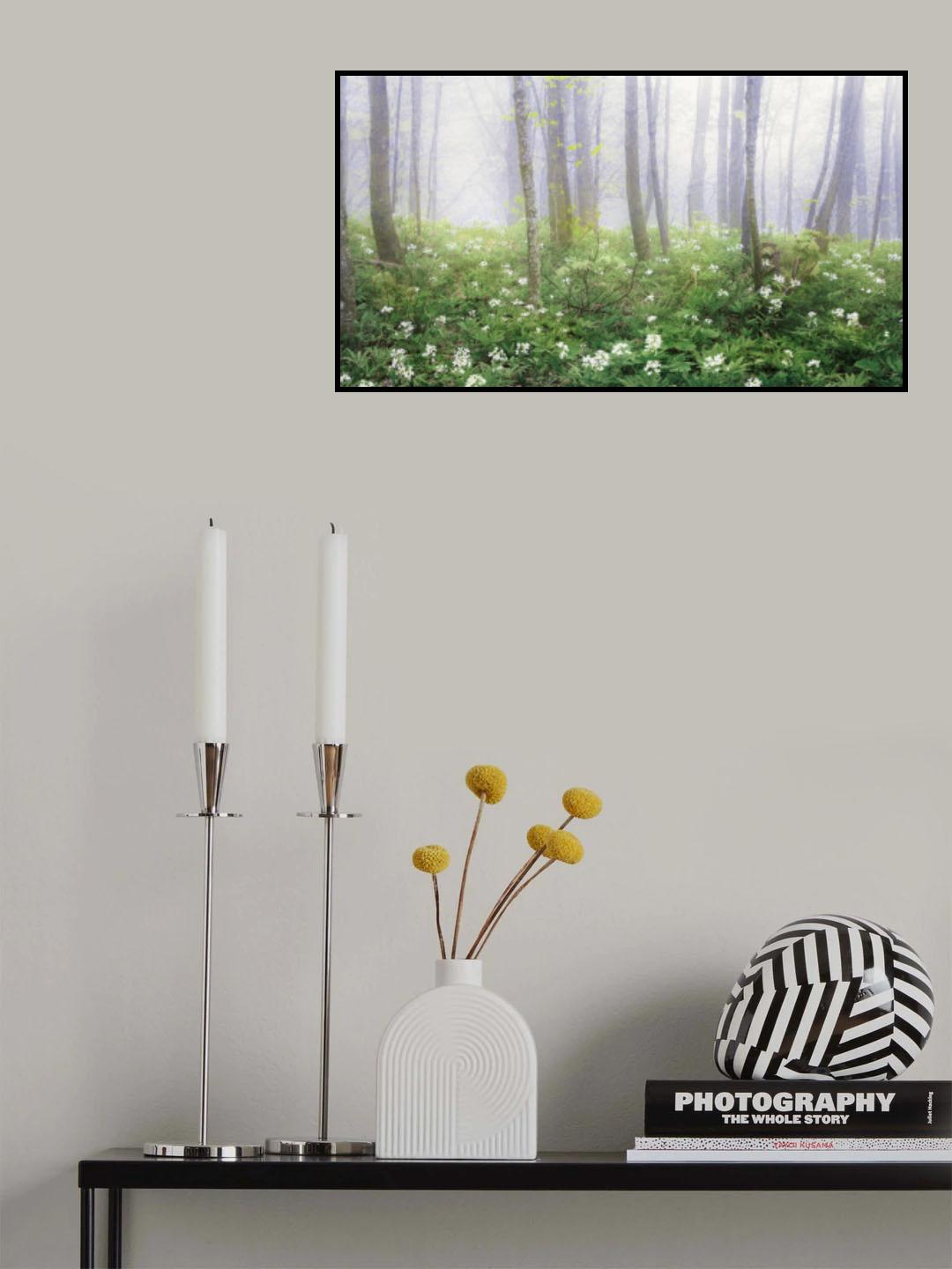 Fog in Spring Poster och Canvastavla
