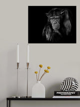 Youth don't last forever. Poster och Canvastavla
