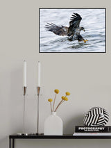 Targeting Poster och Canvastavla