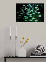 The deep Poster och Canvastavla