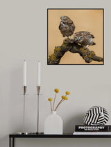 *** Poster och Canvastavla