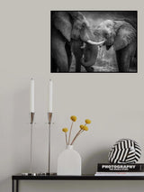 MEETING Poster och Canvastavla
