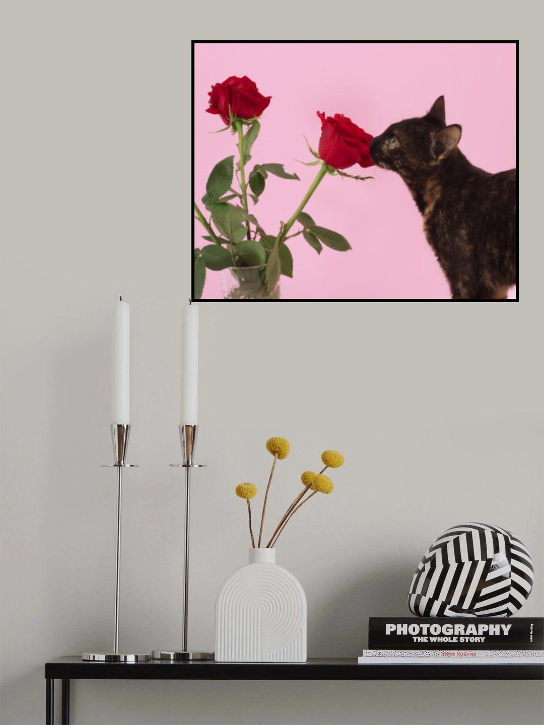 Rosas 01 Poster och Canvastavla