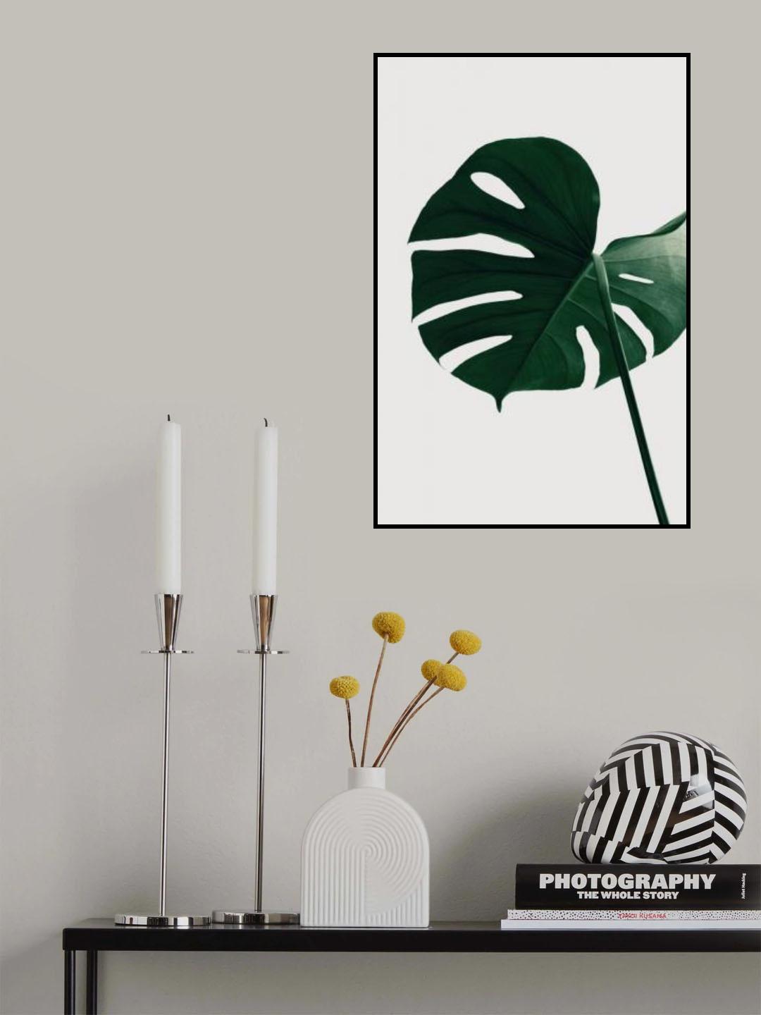 Monstera Natural 33 Poster och Canvastavla
