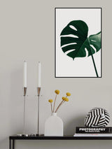Monstera Natural 33 Poster och Canvastavla