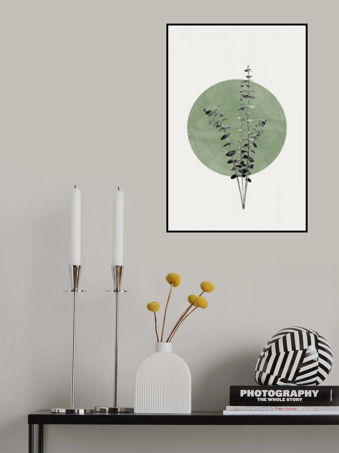 Eucalyptus and Green Moon Poster och Canvastavla
