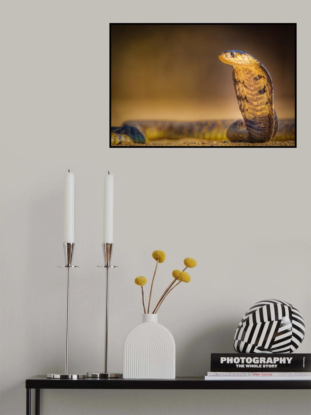 Spitting cobra Poster och Canvastavla