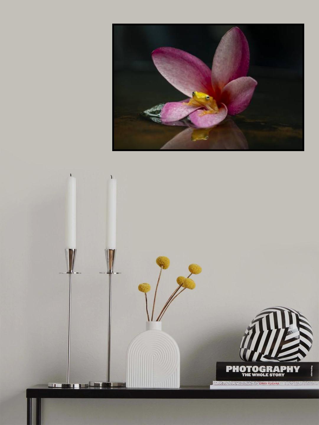 Golden frog Poster och Canvastavla