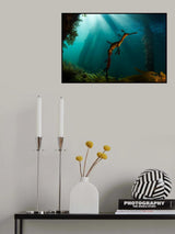 Enchanted Dragon Poster och Canvastavla