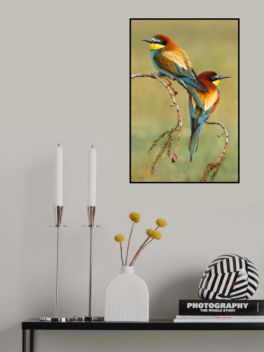 Bee-eaters in love Poster och Canvastavla