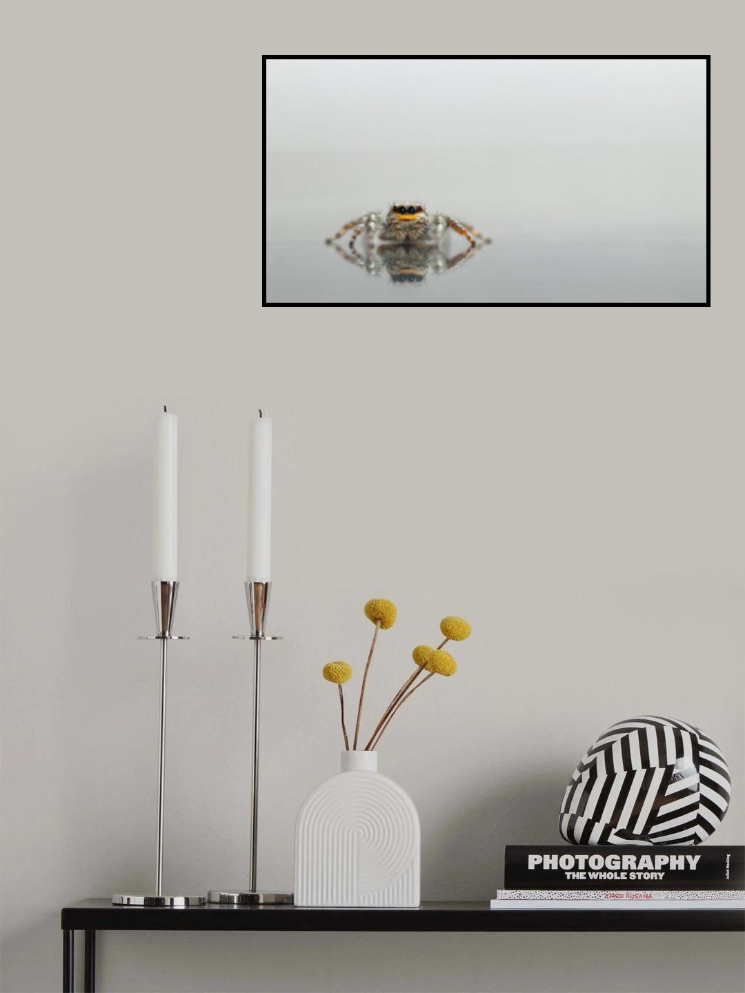 Reflection Poster och Canvastavla