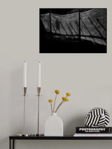 Dust in the dawn Poster och Canvastavla