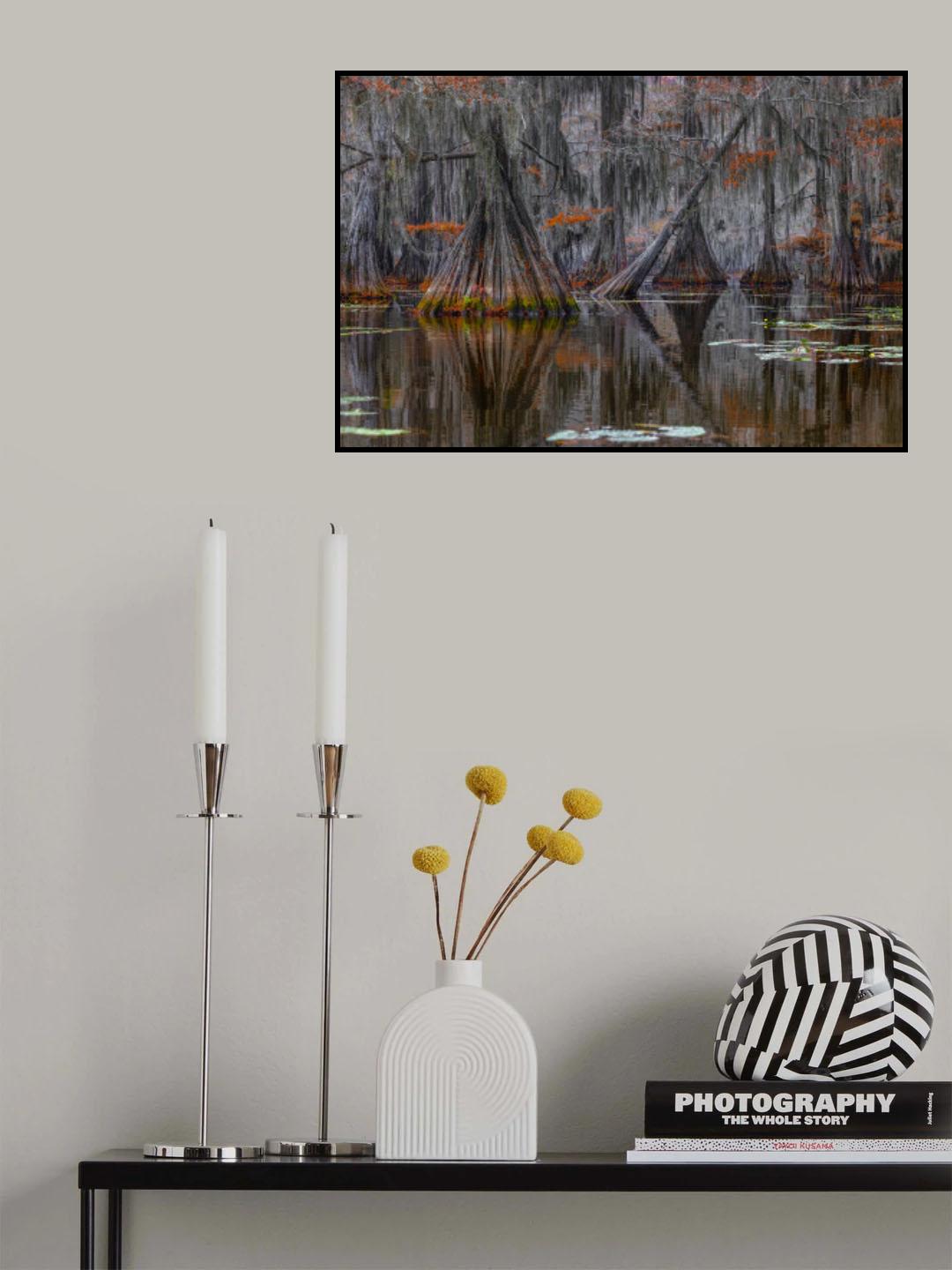 Otherworld Cypress Poster och Canvastavla