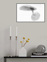 Starlings dance Poster och Canvastavla