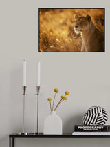 Sunshine Poster och Canvastavla