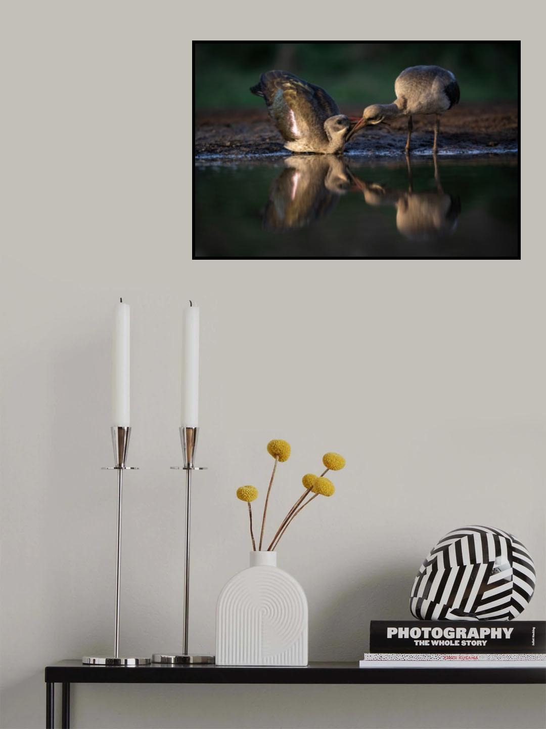 Courtship Poster och Canvastavla