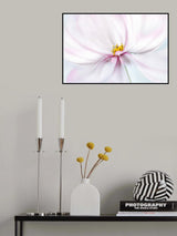 Cosmos Poster och Canvastavla