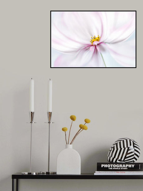 Cosmos Poster och Canvastavla