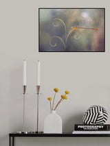 Damselflies and Leaf Edges Poster och Canvastavla