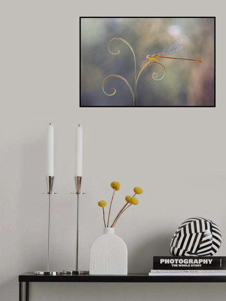 Damselflies and Leaf Edges Poster och Canvastavla