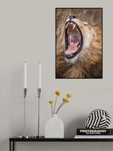 Dental check Poster och Canvastavla