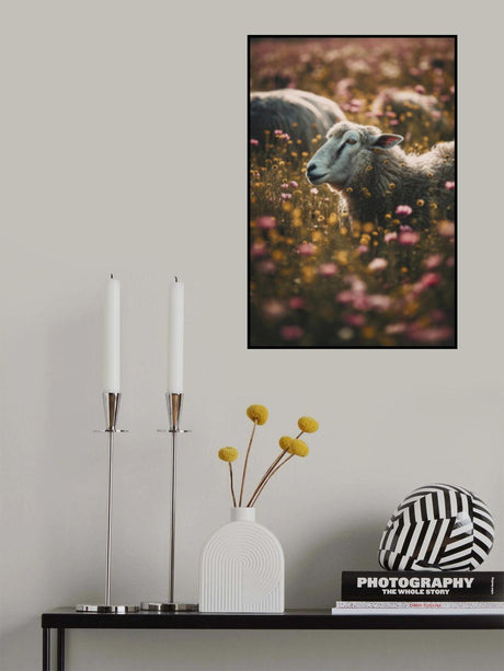 Sheeps inf flower field Poster och Canvastavla