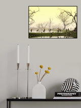 Painted storks at rest Poster och Canvastavla