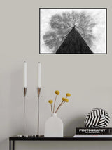 Grow to the light Poster och Canvastavla