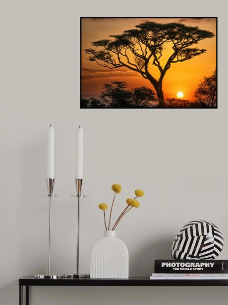 The Magic of Africa Poster och Canvastavla