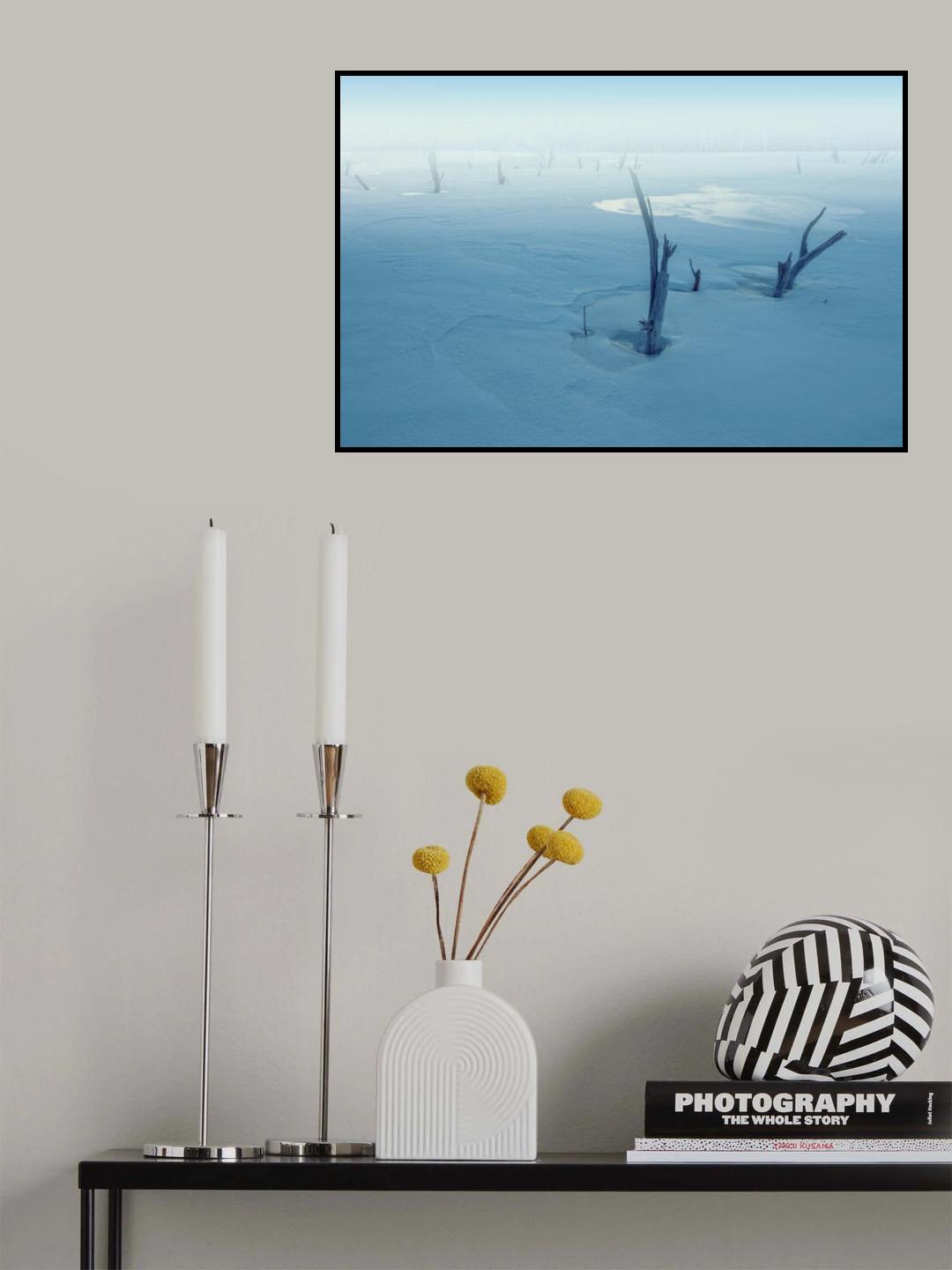 The dream of winter Poster och Canvastavla