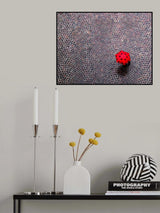 urban ladybug Poster och Canvastavla