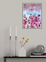 Blooming time Poster och Canvastavla