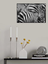 Stripes Poster och Canvastavla