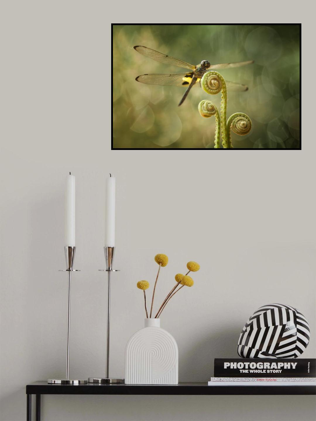 Dragonfly and Ferns Poster och Canvastavla