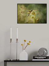 Dragonfly and Ferns Poster och Canvastavla