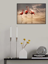 fighting ... Poster och Canvastavla