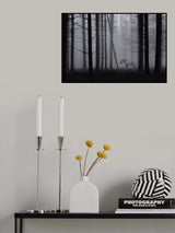 Grey zebra in the mist... Poster och Canvastavla