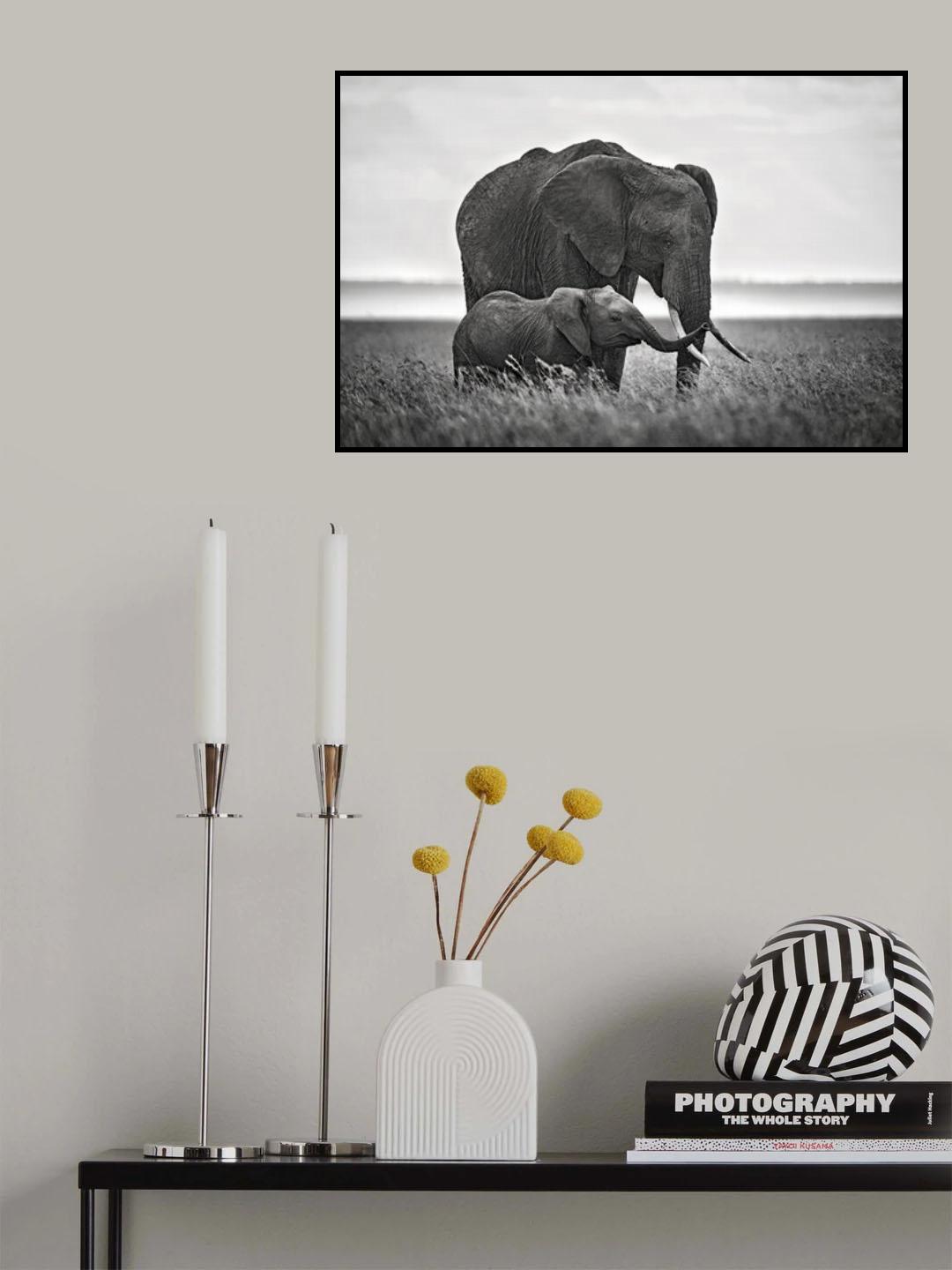 Mother elephant with her calf Poster och Canvastavla