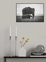 Mother elephant with her calf Poster och Canvastavla